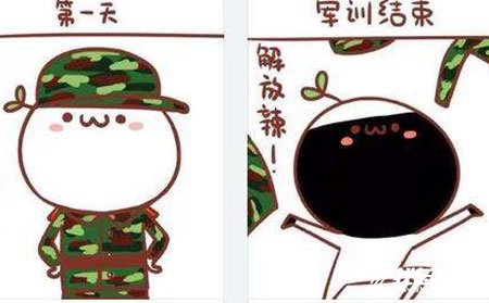 员工军训感悟总结