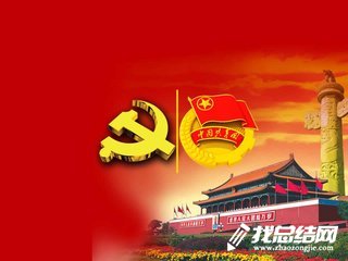 学生党建工作总结