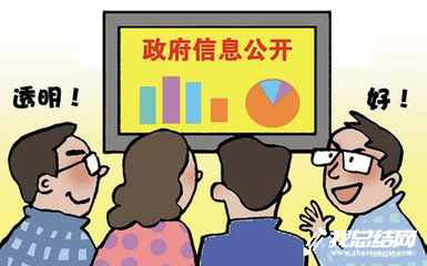 2023年规划局政务公开工作总结