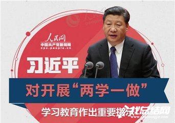 卫计局两学一做工作总结