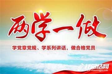 税务局两学一做学习工作总结