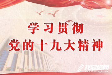学习宣传贯彻党的十九大精神工作总结