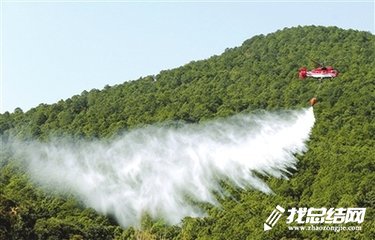 2023年航空护林站工作总结