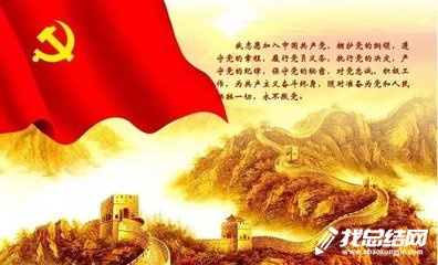 2023年支部主题党日活动总结范文