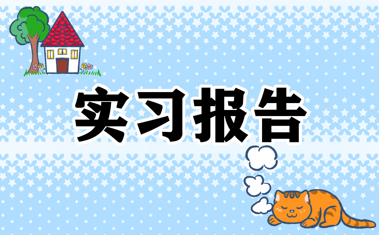 个人实习总结报告