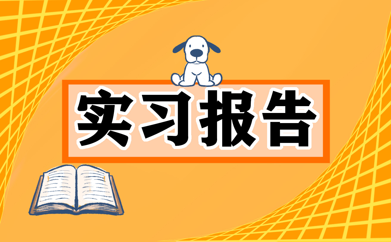 2023年最新审计实习报告