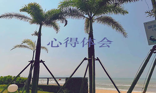 党员干部心得体会600字范文