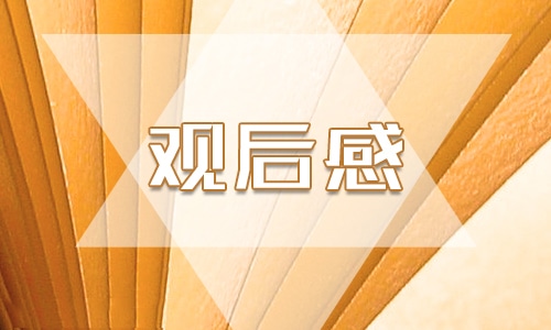 开学第一课直播观后感2023