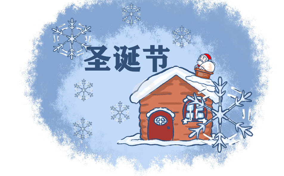 2023年圣诞节活动总结5篇