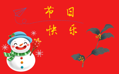 圣诞节活动总结报告12篇