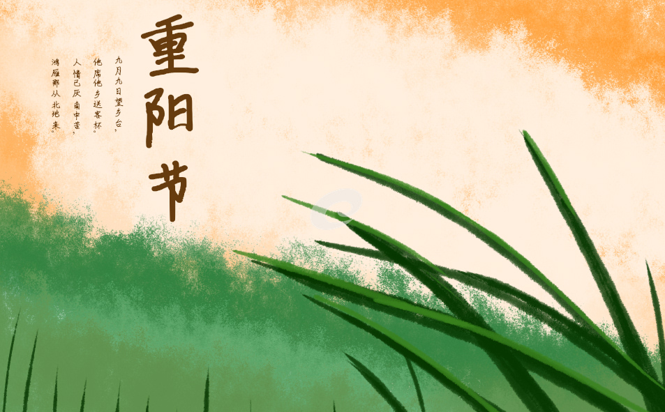 2023年重阳节活动总结10篇