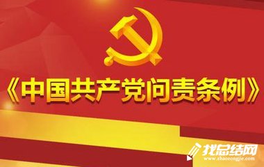 局党组书记《中国共产党问责条例》学习总结