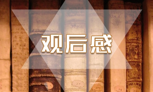2023《开学第一课》节目观后感范文精选