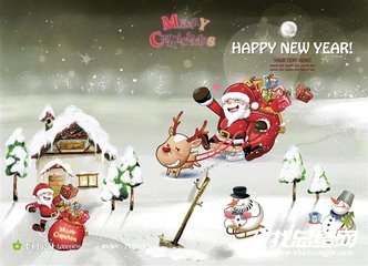 圣诞节主题活动总结