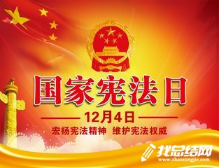 全国法治宣传日宣传活动总结