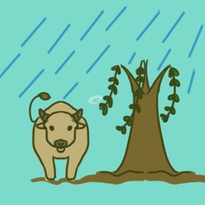 清明节活动总结100字